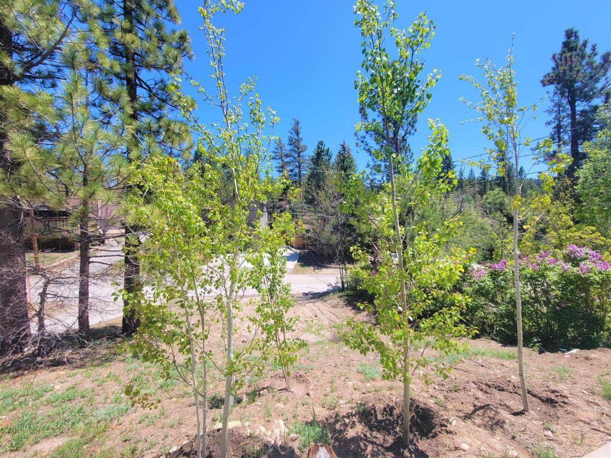 Four Seasons Getaway-Private Hot Spa With Pine Tree Views-Walk To Village And Pineknot Trailhead-Plus King Bed! Big Bear Lake Bagian luar foto